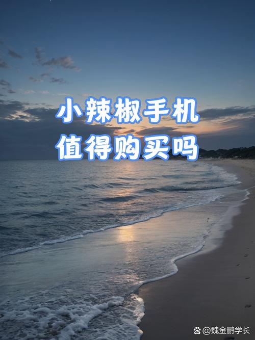 小辣椒x9处理器相当于骁龙多少，小辣椒x9是什么处理器-第4张图片-优品飞百科