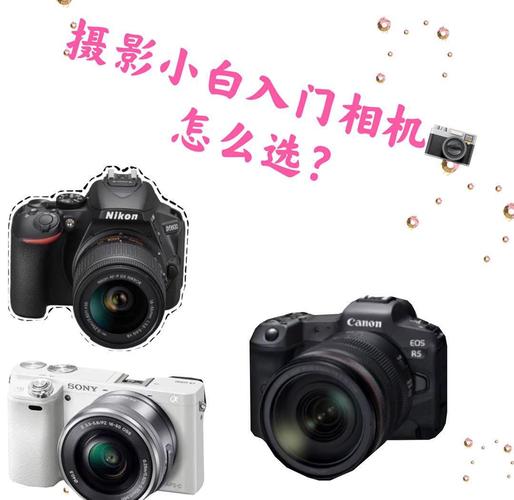 新手用单反还是微单，新手小白买单反还是微单
