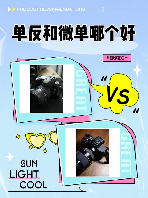新手用单反还是微单，新手小白买单反还是微单-第2张图片-优品飞百科