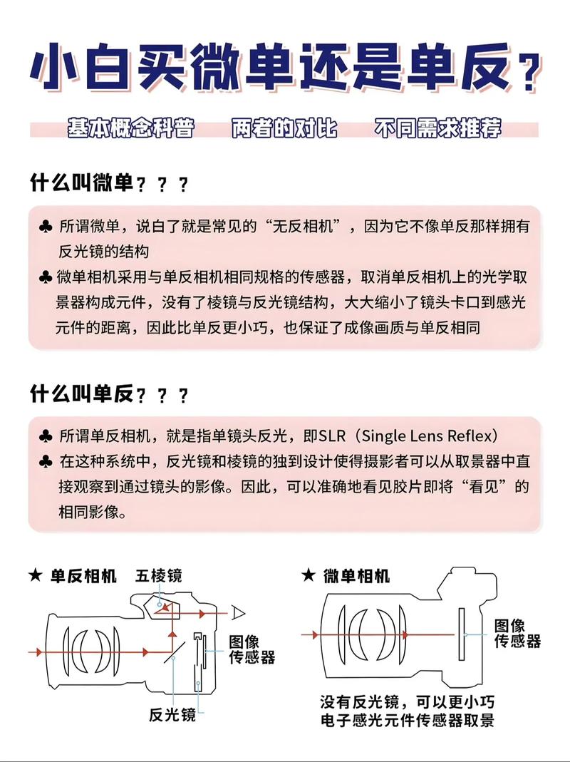 新手用单反还是微单，新手小白买单反还是微单-第5张图片-优品飞百科