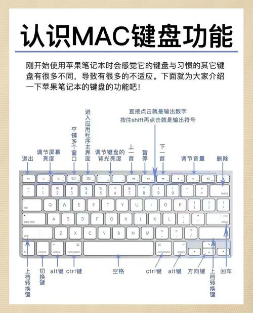 笔记本如何调出小键盘，笔记本如何调出小键盘输入法-第4张图片-优品飞百科