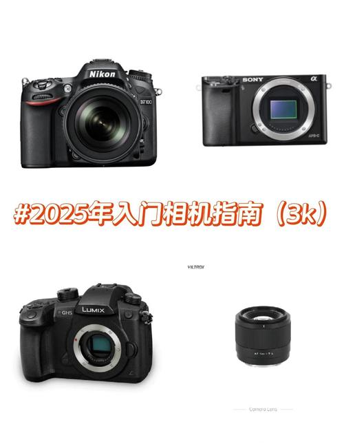 佳能sx20is性价比，佳能sx20ls-第1张图片-优品飞百科