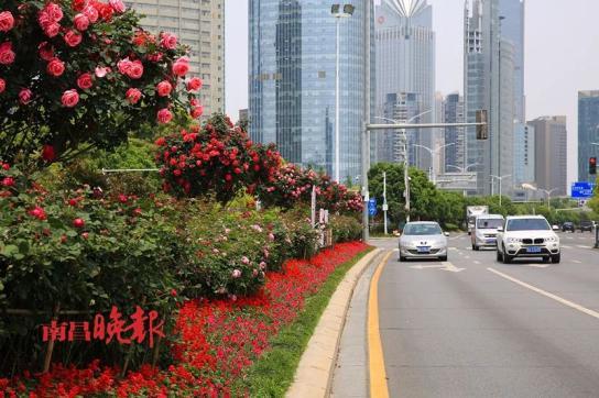 屯昌最新疫情？屯昌县疫情防控？-第6张图片-优品飞百科