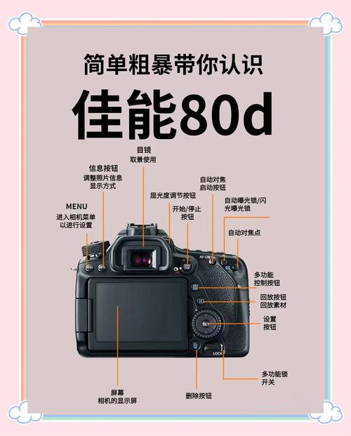 尼康d80适用哪些镜头，尼康d80搭配什么镜头好?？