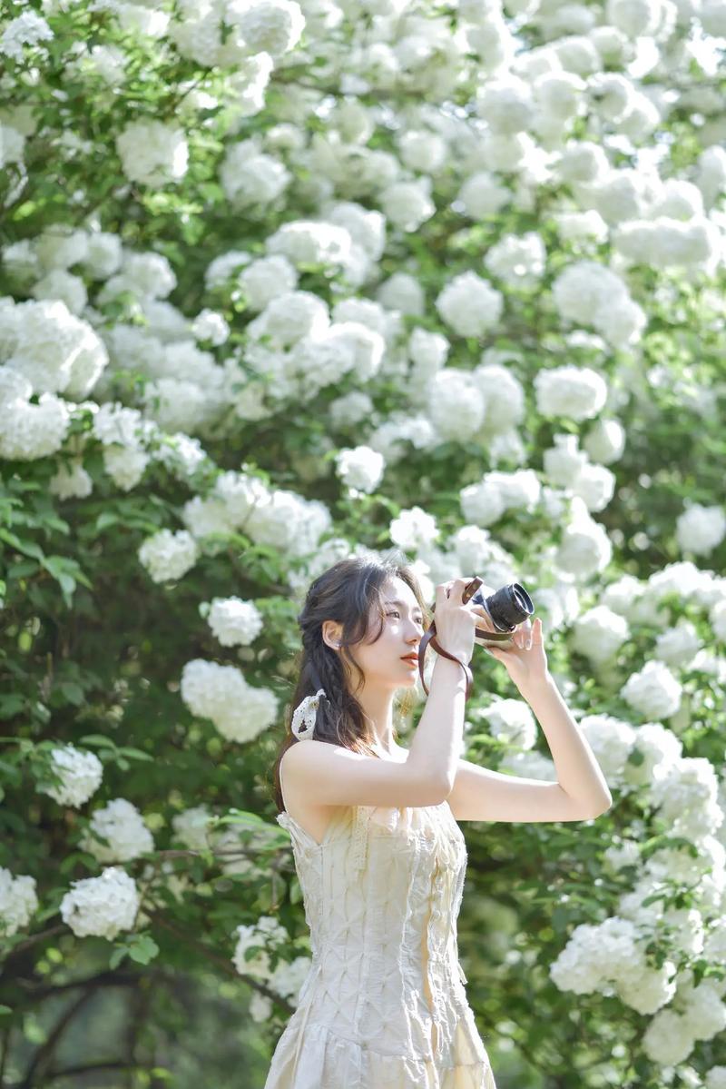 尼康d80适用哪些镜头，尼康d80搭配什么镜头好?？-第3张图片-优品飞百科