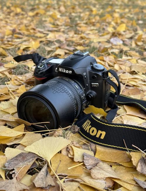 尼康d80适用哪些镜头，尼康d80搭配什么镜头好?？-第4张图片-优品飞百科
