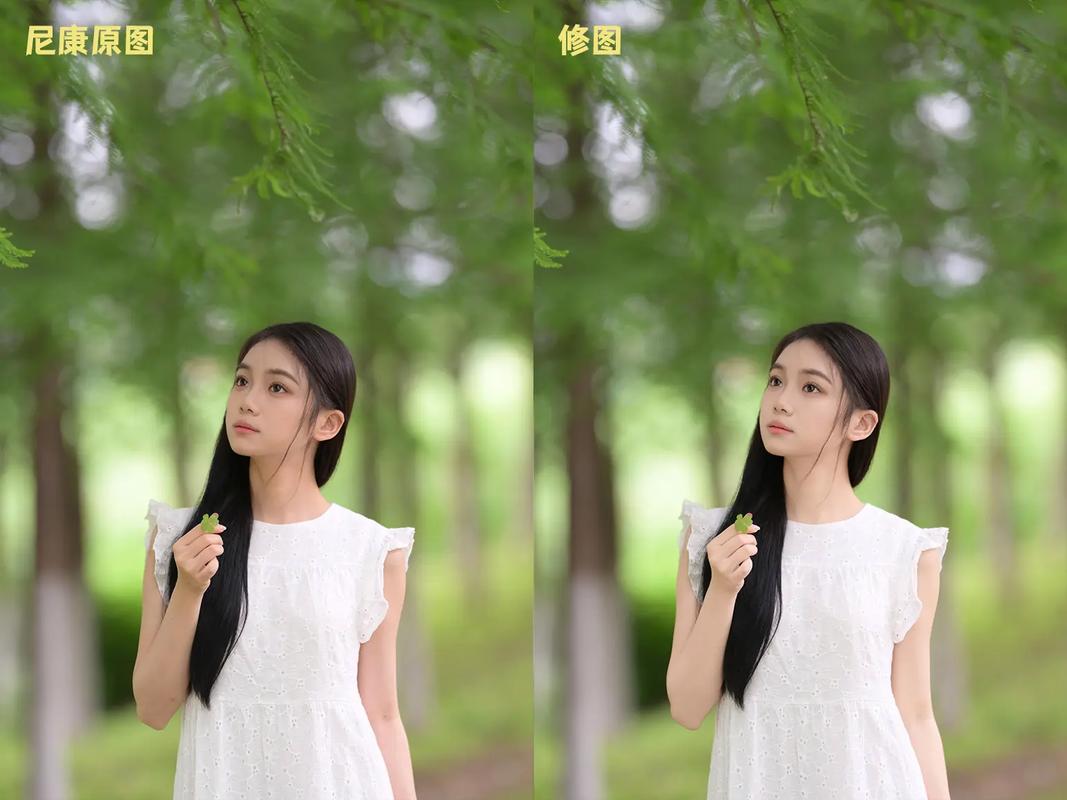 尼康人像定焦镜头哪个好，尼康定焦镜头画质排名？-第7张图片-优品飞百科