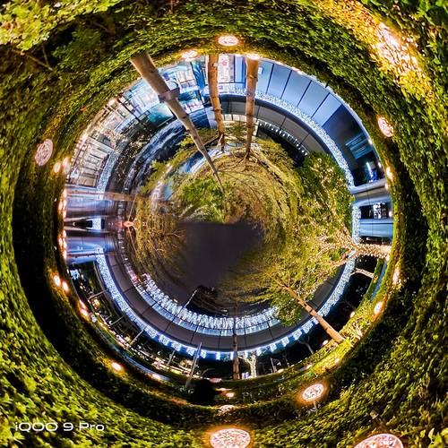 鱼眼镜头适合拍什么，鱼眼镜头适合拍什么动物？-第6张图片-优品飞百科