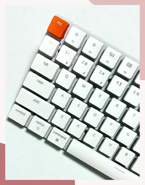 便宜键盘推荐？便宜好用键盘推荐？-第3张图片-优品飞百科