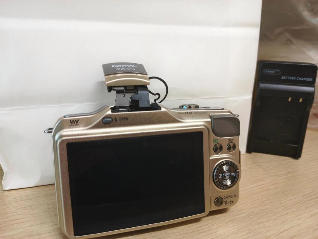 松下gf5镜头推荐，松下gf5用什么镜头-第5张图片-优品飞百科