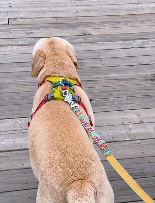 360儿童手表死机了怎么办？360儿童手表关机后开不了机怎么办？