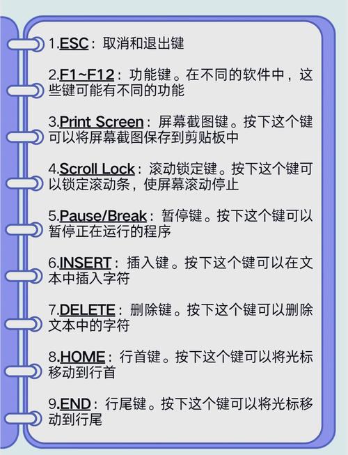 电脑上fn键在哪，电脑fn键是干嘛的-第1张图片-优品飞百科