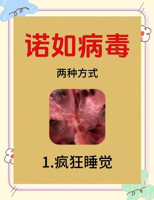 这次疫情机遇，疫情带来机遇？-第3张图片-优品飞百科