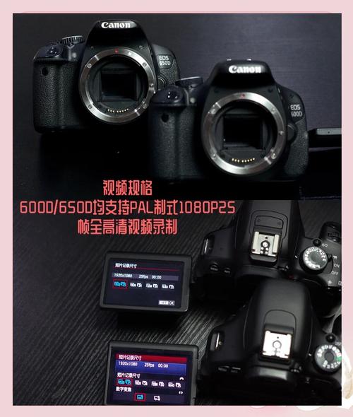 佳能600d套机和单机区别，佳能600d套机和单机区别大吗？-第3张图片-优品飞百科
