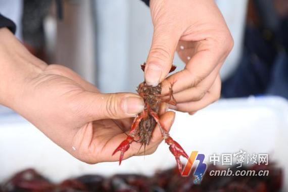 疫情节衣缩食，疫情期间衣食住行的变化-第1张图片-优品飞百科