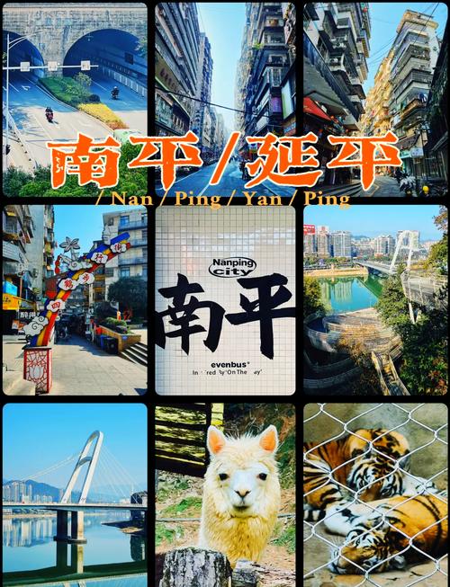 南平疫情实时，南平疫情实时报道？-第3张图片-优品飞百科