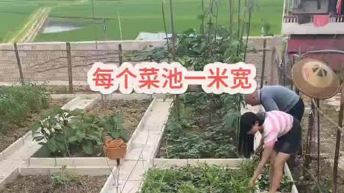 女老板疫情，女老板遇害？-第1张图片-优品飞百科