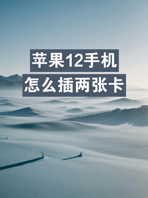 苹果有双卡双待的吗，苹果有双卡机型吗-第5张图片-优品飞百科