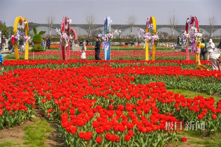 公园疫情消杀？公园消杀记录表？-第5张图片-优品飞百科