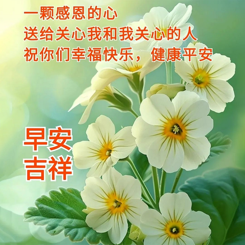 疫情期早安？疫情早安问候？-第5张图片-优品飞百科