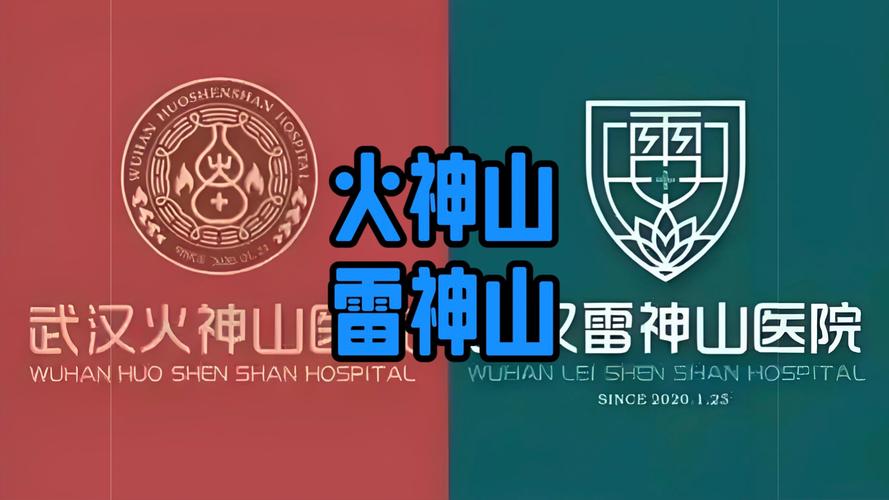 易经详解疫情，从易经角度看疫情-第1张图片-优品飞百科