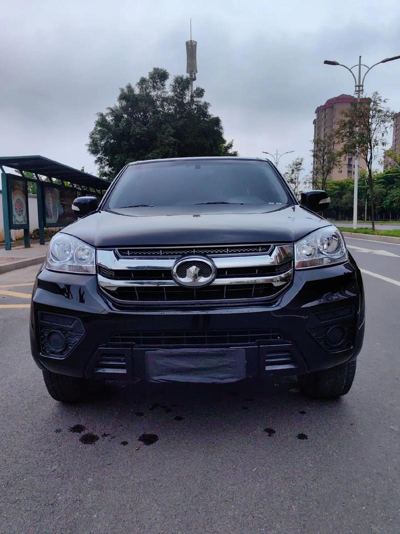 中兴小老虎皮卡质量怎么样，中兴小老虎皮卡配什么发动机？-第3张图片-优品飞百科