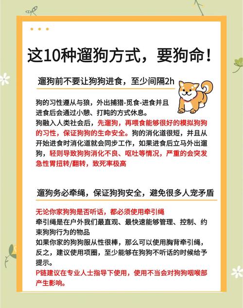 疫情出门遛狗，疫情期间遛狗注意什么？-第3张图片-优品飞百科