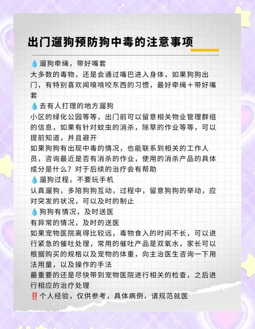 疫情出门遛狗，疫情期间遛狗注意什么？-第6张图片-优品飞百科
