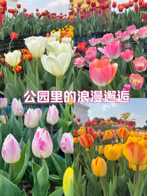 疫情的邂逅感，疫情的邂逅感悟句子-第2张图片-优品飞百科