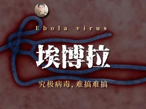 主要疫情国，疫情 国力-第7张图片-优品飞百科