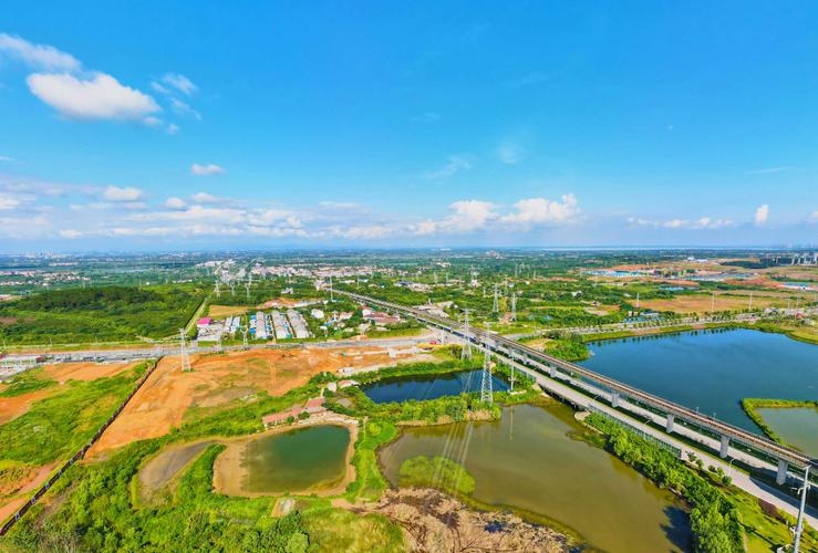 新洲疫情统计，新洲区疫情通报？