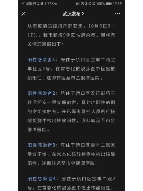新洲疫情统计，新洲区疫情通报？-第2张图片-优品飞百科