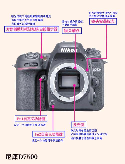 尼康d7000和d7500区别，尼康d750和d700哪个好-第2张图片-优品飞百科