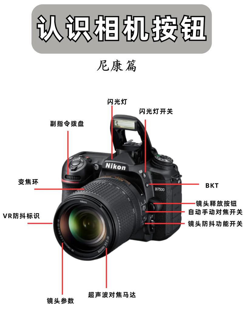 尼康d7000和d7500区别，尼康d750和d700哪个好-第4张图片-优品飞百科