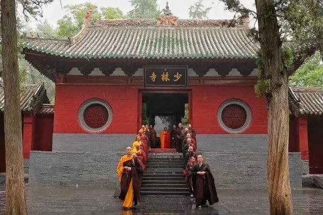 羊驼和疫情，羊驼是新型冠状病毒的克星吗-第2张图片-优品飞百科