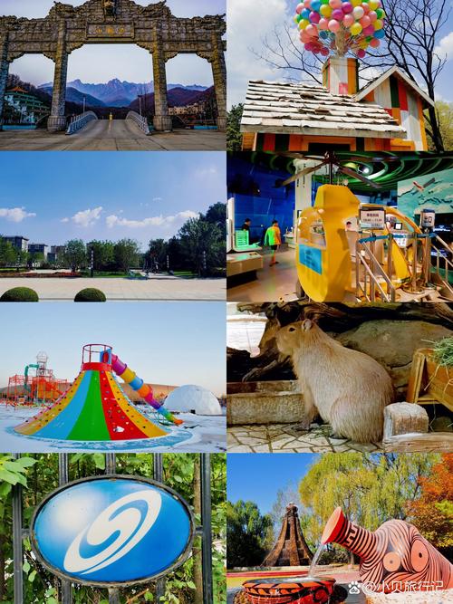 玉龙沙湖疫情？玉龙沙湖游玩攻略图片？-第2张图片-优品飞百科