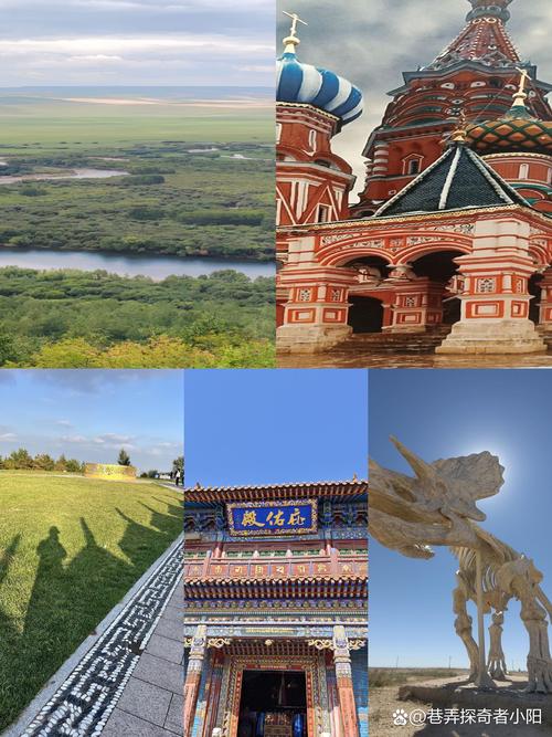 玉龙沙湖疫情？玉龙沙湖游玩攻略图片？-第4张图片-优品飞百科