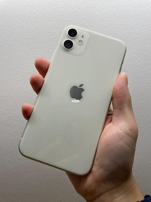 iphone11什么时候上市时间？iphone11是什么时候上市的?？-第4张图片-优品飞百科