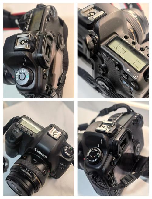 二手单反相机怎么选？二手单反买什么型号？-第1张图片-优品飞百科