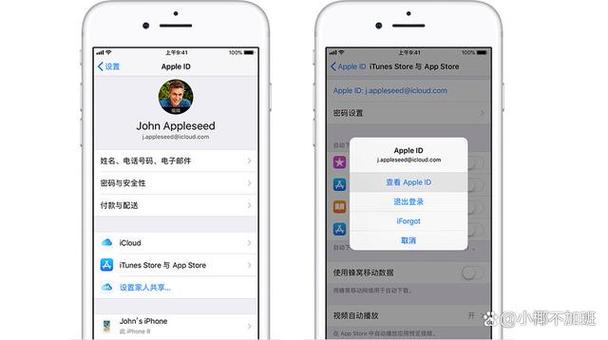苹果id在哪里查找,苹果id在哪里查找登陆记录-第2张图片-优品飞百科 苹果id在哪里查找,苹果id在哪里查找登陆记录-第2张图片-优品飞百科