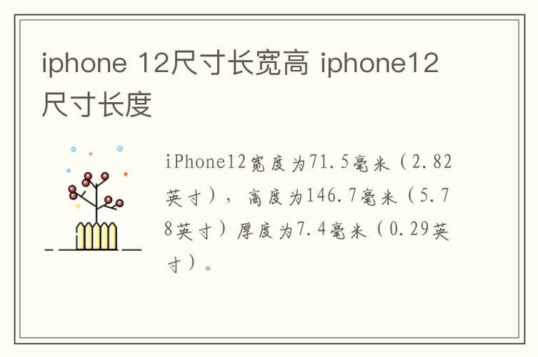 苹果12多少厘米？苹果14宽多少厘米？-第5张图片-优品飞百科