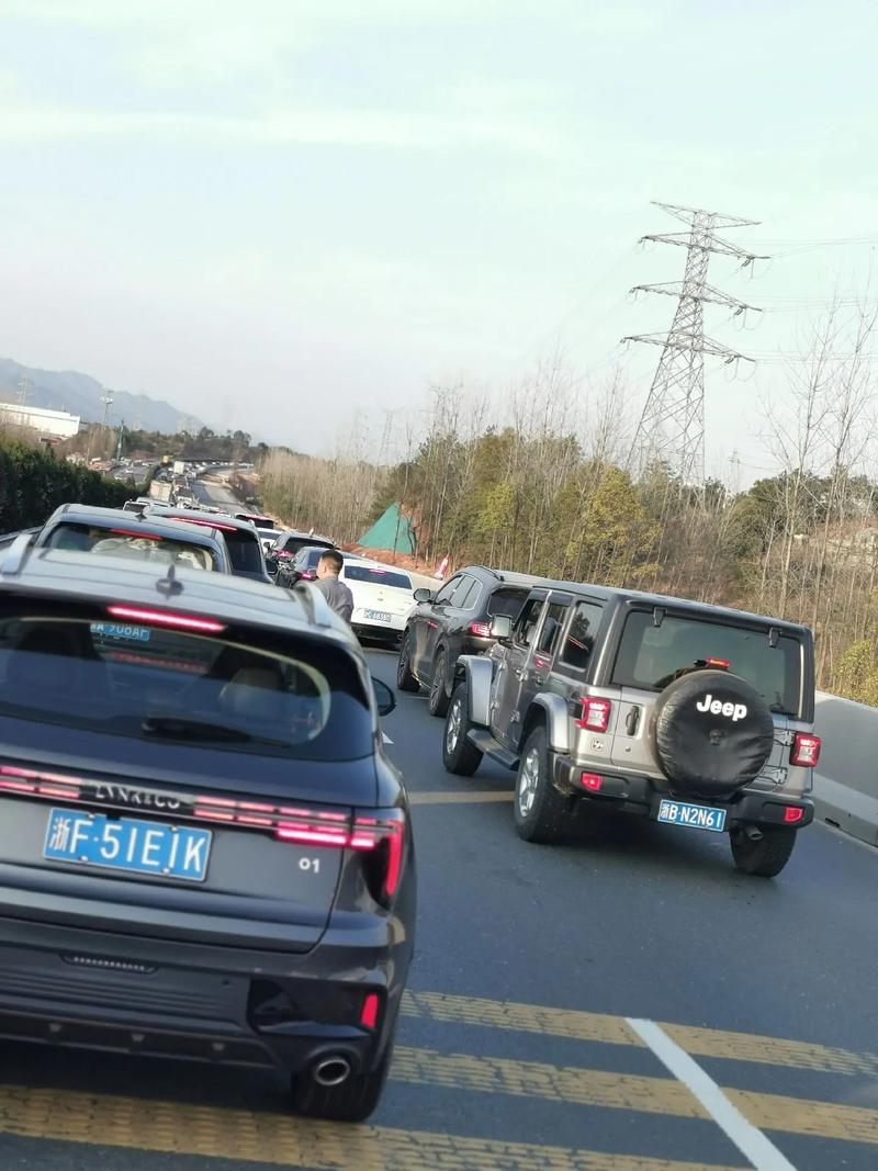 初五疫情情况，初五疫情情况怎么写？-第1张图片-优品飞百科