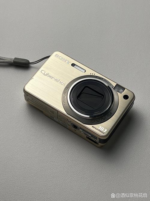 索尼dscw220是ccd吗，索尼dscw220使用教程？-第2张图片-优品飞百科