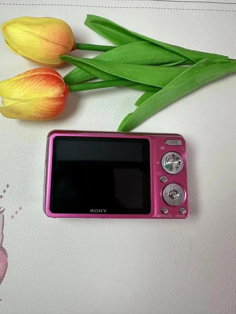 索尼dscw220是ccd吗，索尼dscw220使用教程？-第3张图片-优品飞百科