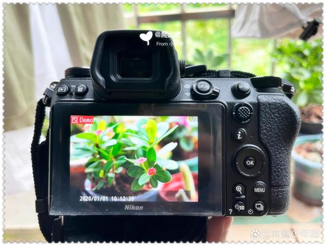 尼康z7ii值得买吗？尼康z7ii优缺点？