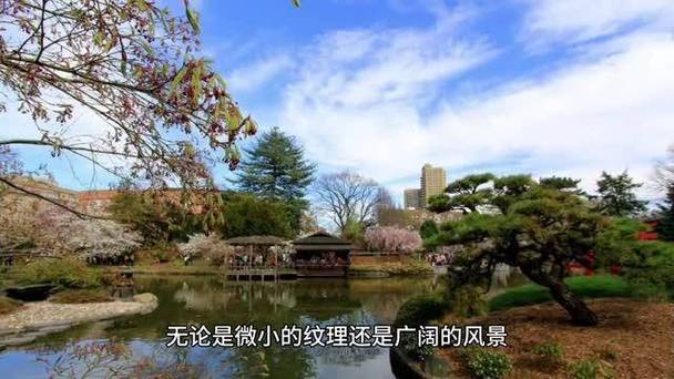 佳能m50拍照教学，佳能m50怎么拍好看-第5张图片-优品飞百科