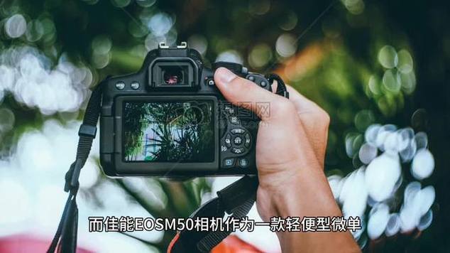 佳能m50拍照教学，佳能m50怎么拍好看-第6张图片-优品飞百科