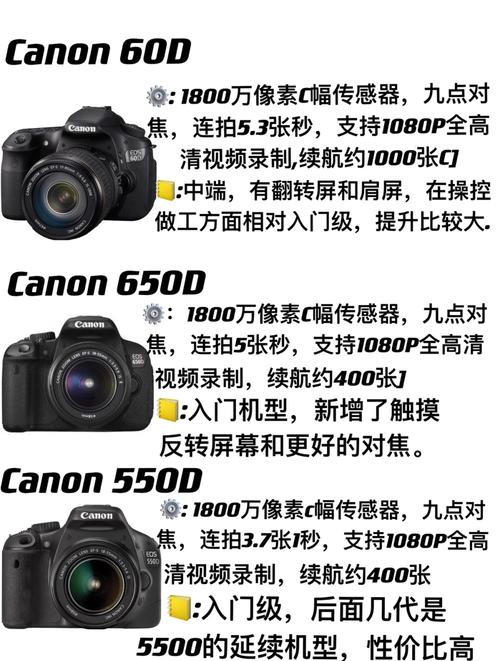 一般相机能用几年，一般相机可以用多少年-第1张图片-优品飞百科