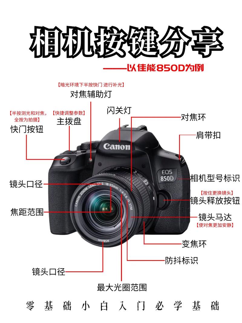 单反怎么拆镜头？怎样拆单反镜头？-第4张图片-优品飞百科