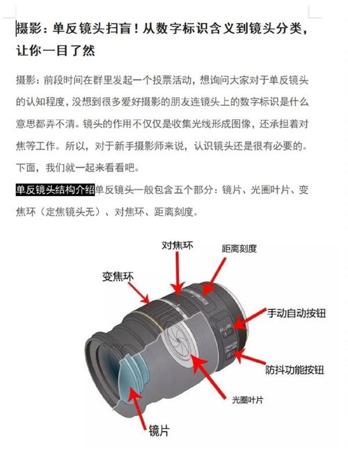 单反怎么拆镜头？怎样拆单反镜头？-第7张图片-优品飞百科